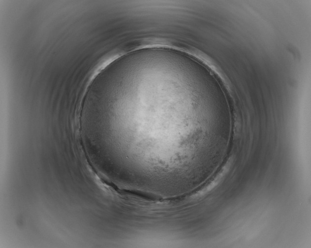 X0000111001145200906191545