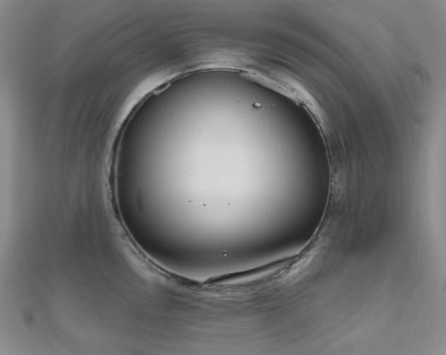 X0000111001146200906191545