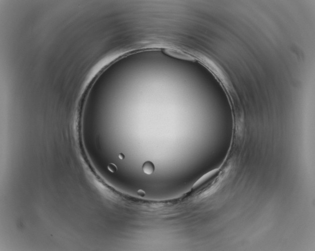 X0000111001149200906191545