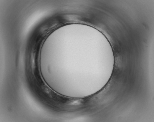X0000111001150200906191545