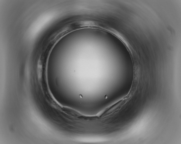 X0000111001151200906191545
