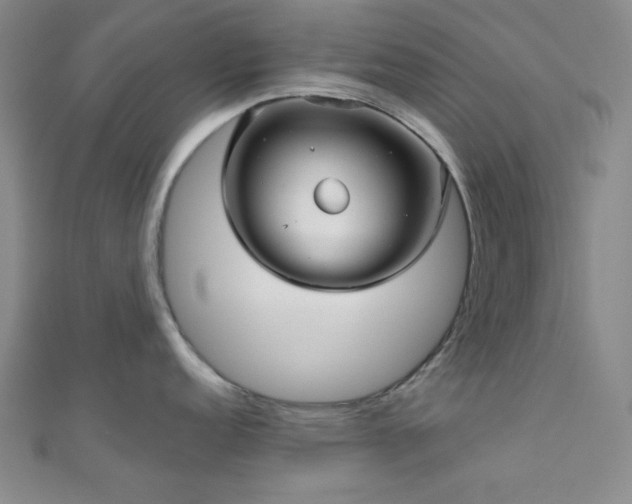 X0000111001152200906191545