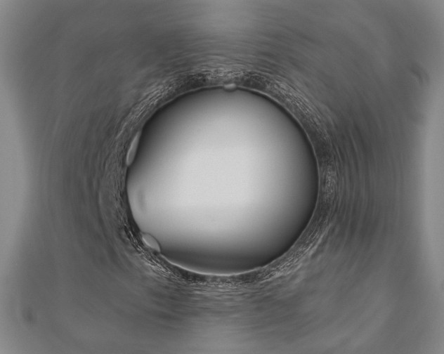 X0000111001153200906191545