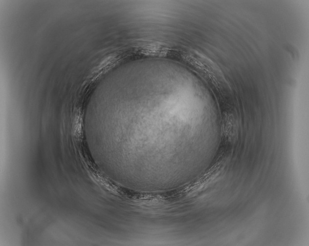X0000111001154200906191545