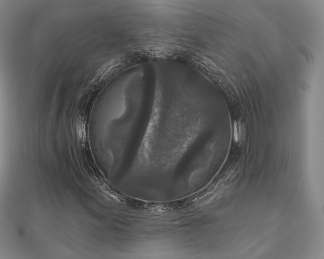 X0000111001155200906191545