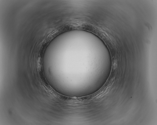 X0000111001156200906191545