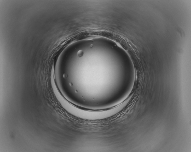 X0000111001157200906191545