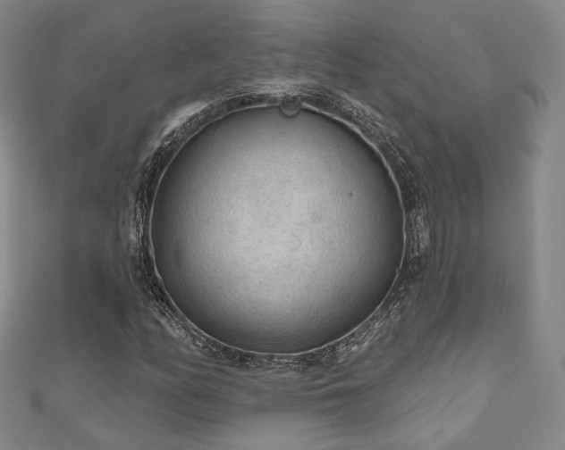 X0000111001158200906191545