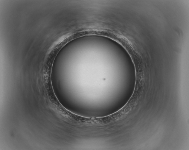 X0000111001159200906191545