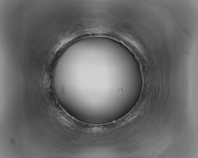 X0000111001160200906191545