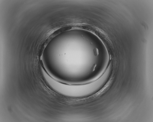 X0000111001161200906191545
