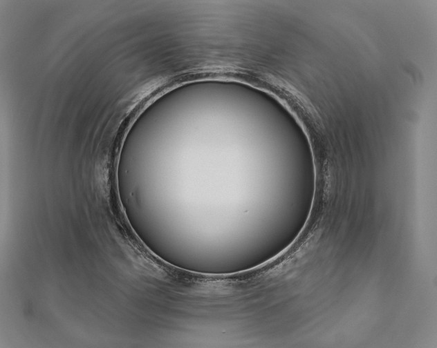 X0000111001162200906191545