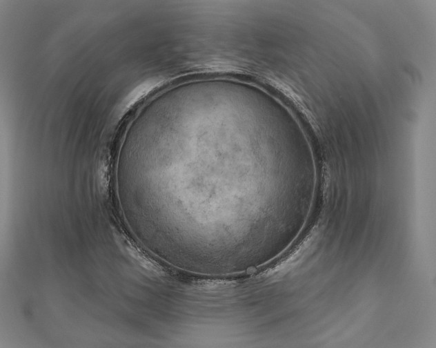 X0000111001163200906191545