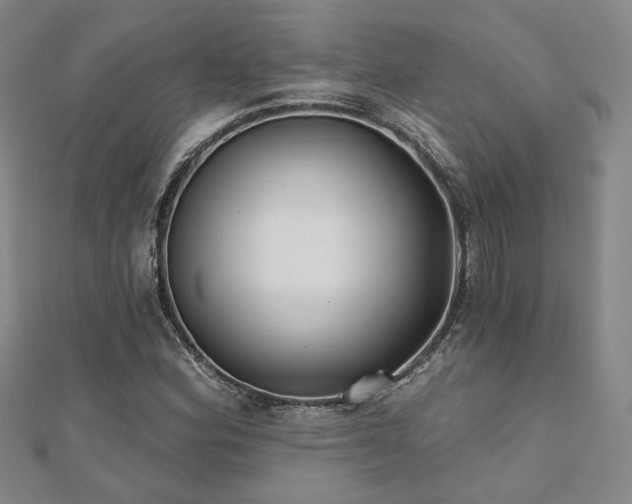 X0000111001164200906191545