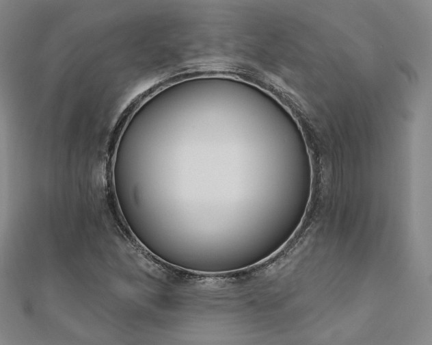 X0000111001166200906191544