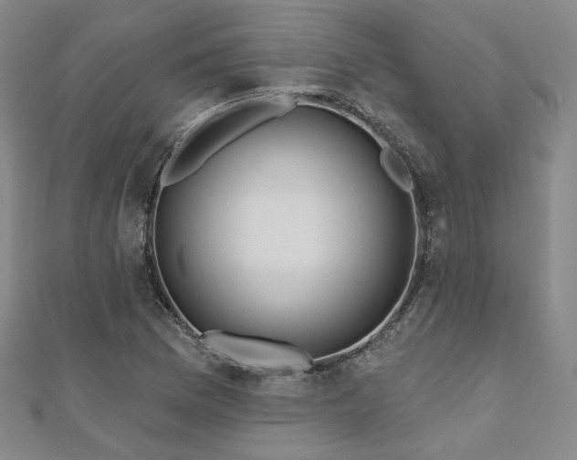 X0000111001169200906191544