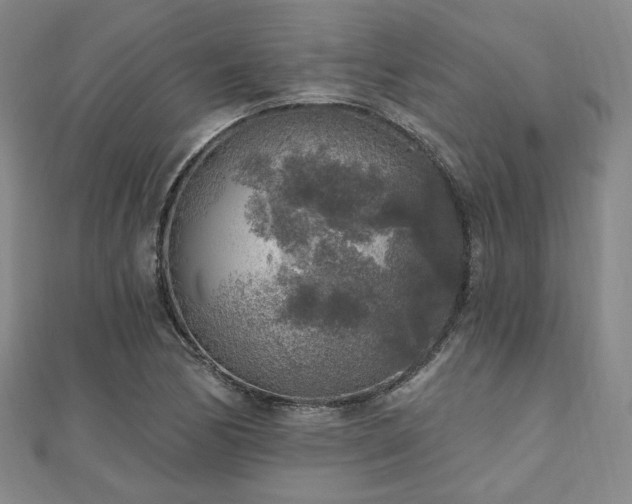 X0000111001170200906191544