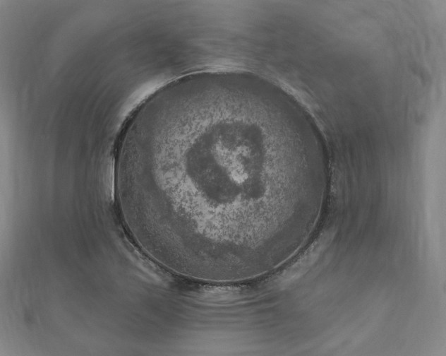 X0000111001171200906191544