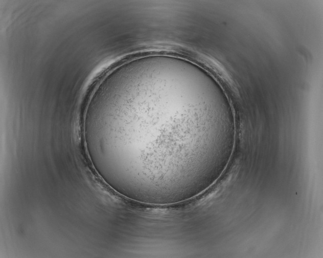 X0000111001172200906191544