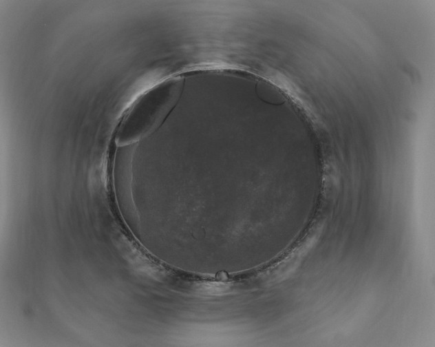 X0000111001173200906191544