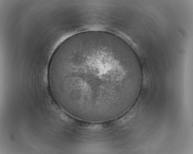 X0000111001174200906191544