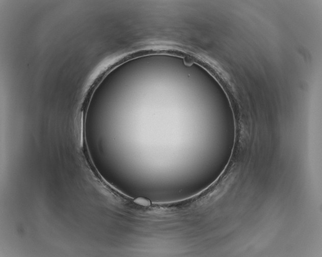 X0000111001175200906191544