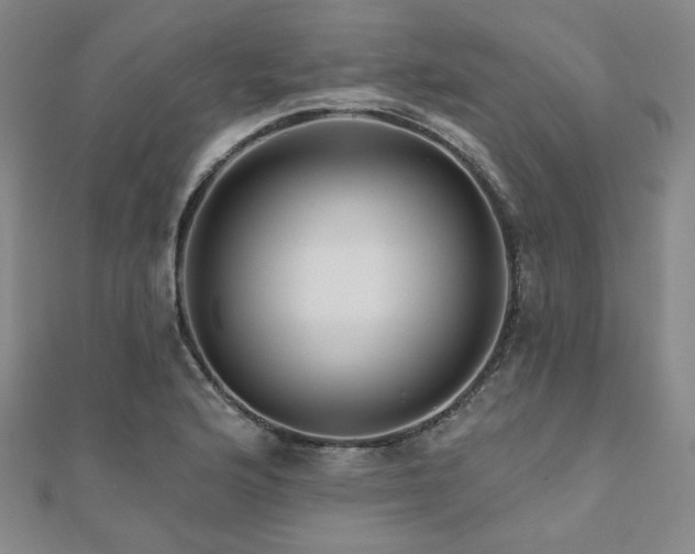 X0000111001176200906191544