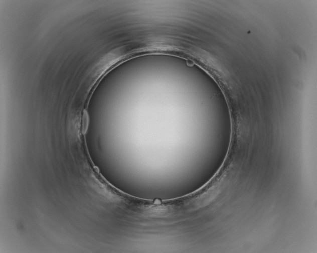 X0000111001177200906191544