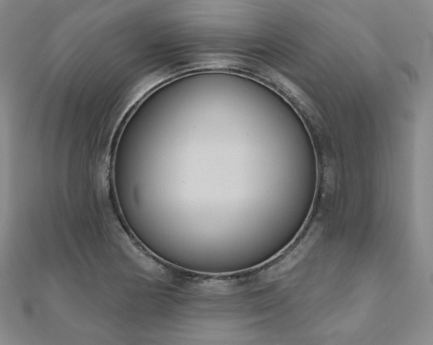 X0000111001178200906191544
