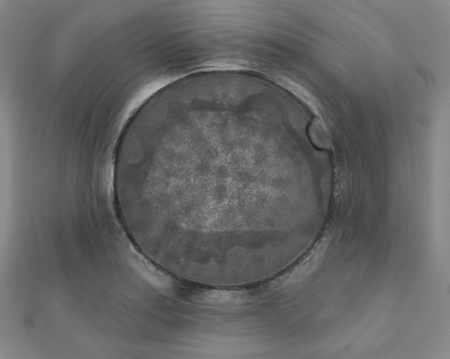 X0000111001179200906191544