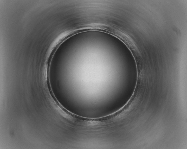 X0000111001180200906191544