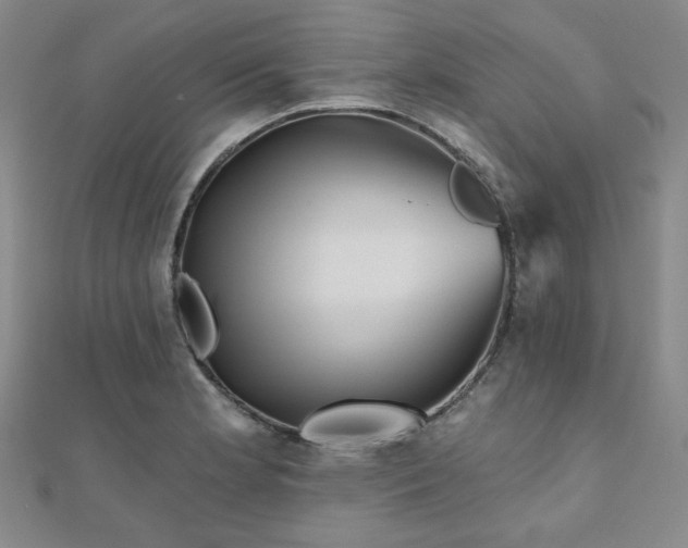X0000111001181200906191544
