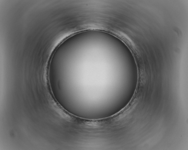 X0000111001182200906191544