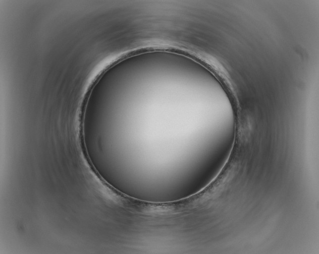 X0000111001183200906191544