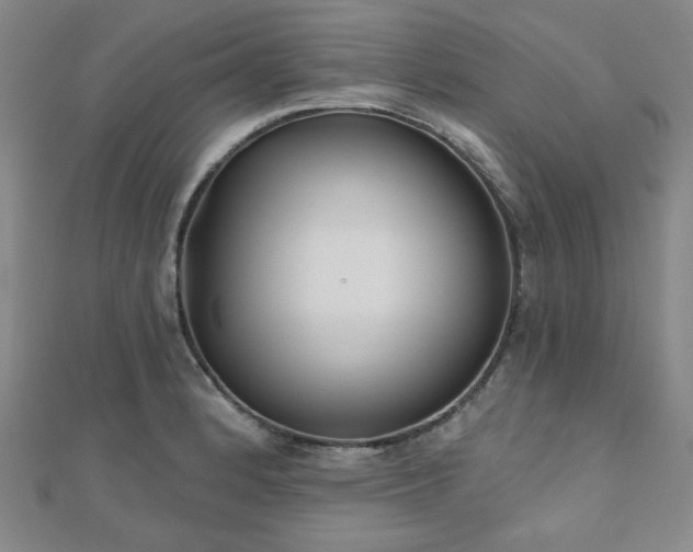 X0000111001184200906191544