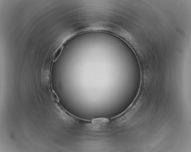 X0000111001185200906191544