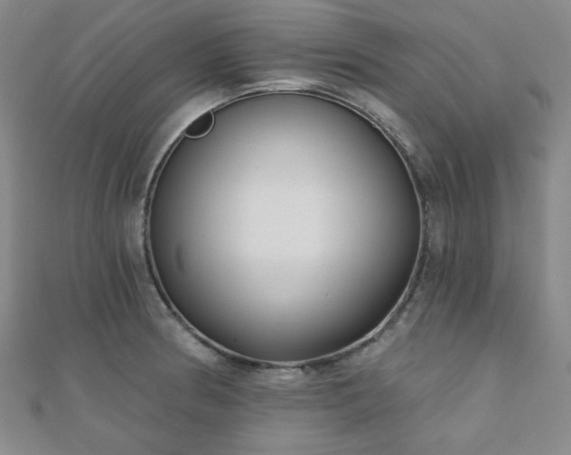 X0000111001186200906191544