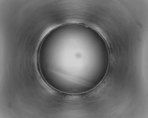 X0000111001187200906191544