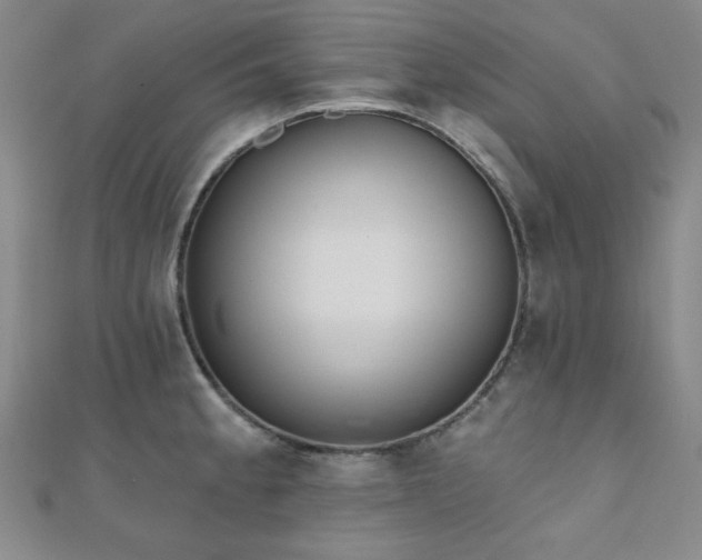 X0000111001189200906191544
