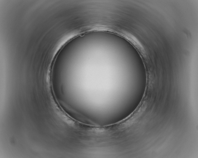X0000111001190200906191544