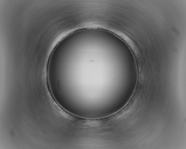 X0000111001191200906191544