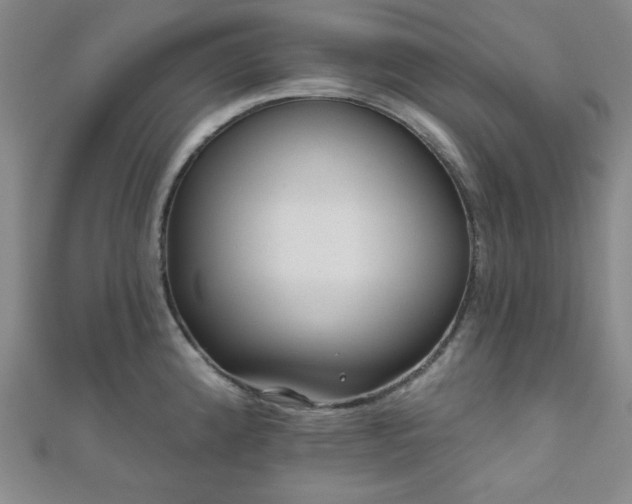 X0000111001192200906191544