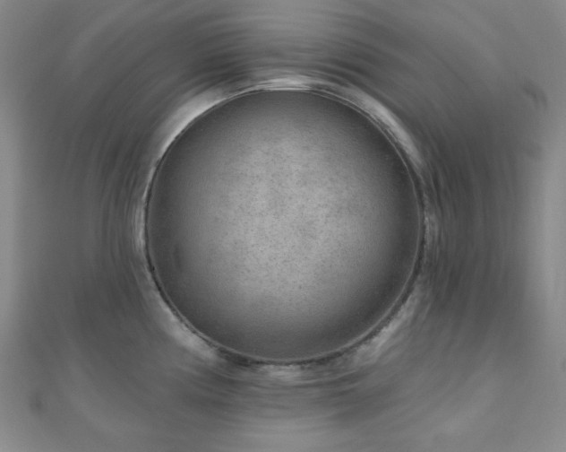 X0000111001194200906191544