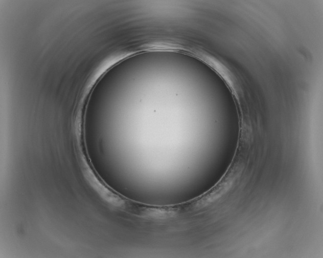 X0000111001195200906191544