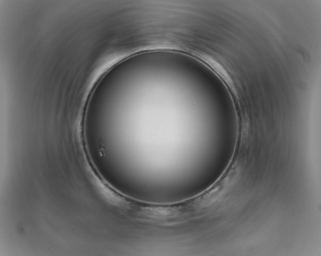 X0000111001197200906191544