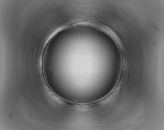 X0000111001198200906191544