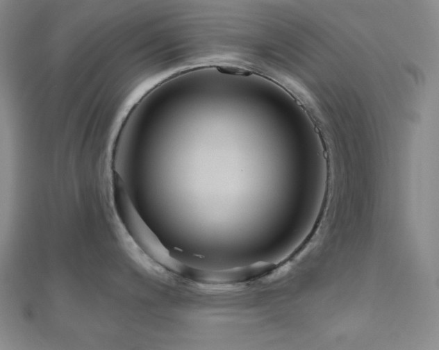 X0000111001200200906191544