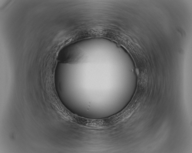 X0000111001201200906191543