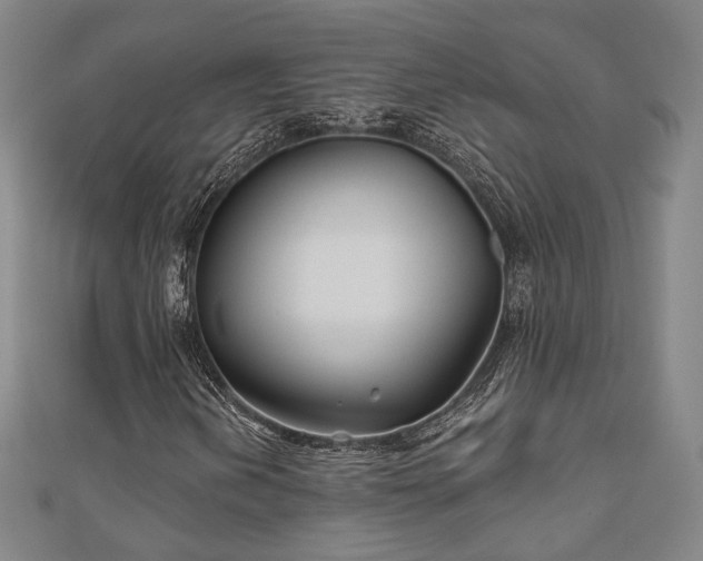 X0000111001202200906191543