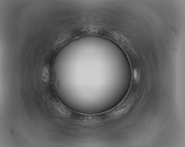 X0000111001203200906191543